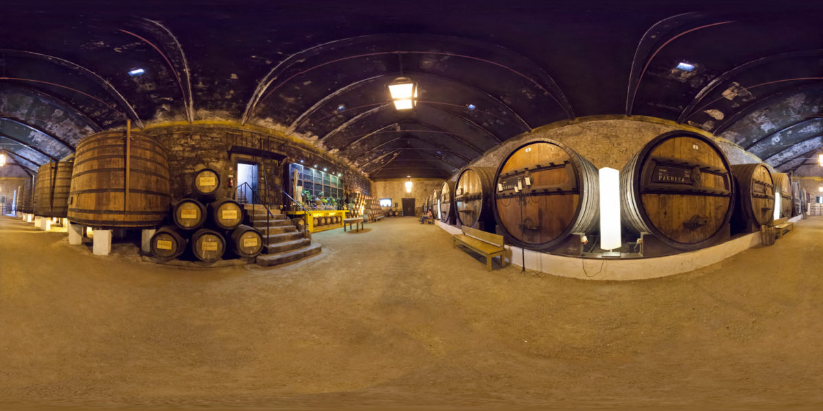 Quinta da Pacheca wine cellar. Lamego. Portugal